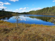 An unnamed swamp pond in Pieksmki Finland 