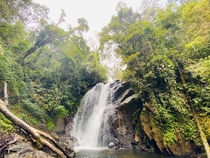 An unnamed waterfall in Sinharaja rainforest LKA 