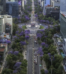 Angel de la Independencia Mexico City