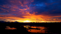 Another crisp gorgeous morning at Columbia Slough Wetlands Oregon - A duplicate Mt Hood protruding down from the clouds 
