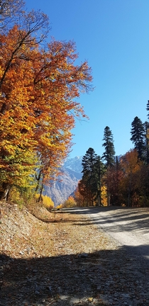 Another fall colors North Caucasus Dombay OC 