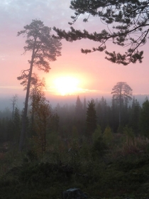 Another pic from Karhunkierros Trail Finland 