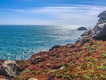 Another pic of Timber Cove from different view along Northern California coast on Highway  