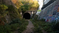 Another shot of the abandoned railroad in Pairs la Petite Ceinture OC 