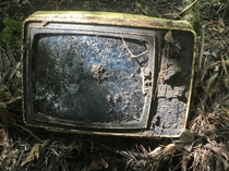 Another TV left in the woods
