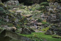 Another view of a private alpine rock garden I had the privilege of completing