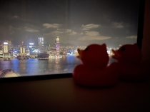 Another View of HOng Kong With More Ducks