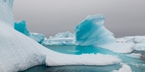 Antarctic Ice Floes 