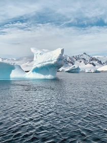 Antarctica Found the ice dragon 