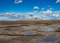 Antelope Island Utah USA  x mikeroner_photography