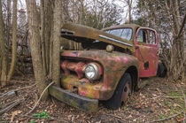 Any guesses as to how long this old abandoned truck has been sitting here OC -   