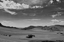 Any love for black and white on this sub Coral Pink Sand Dunes State Park Utah 