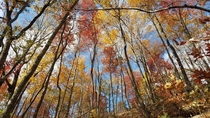 Anybody else missing Fall Cumberland Gap National Park Kentucky 