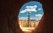 Aperture - along the Queensland Trail in Bryce Canyon National Park Utah 