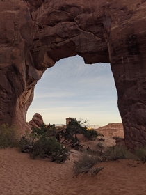 Arches National Park - Pine Tree Arch 