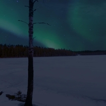 Arctic lake in Uusimaa Finland 