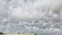 Are these mammadtus clouds If so its my first time seeing them