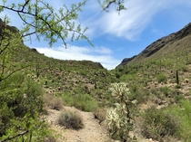 Arizona Sonora Desert Mountain Park 