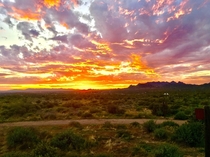Arizona sunset