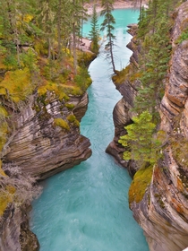 Athabasca Falls Gorge Alberta Canada - 