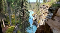 Athabasca falls in Alberta Canada OC 