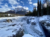 Athabasca falls Jasper Alberta