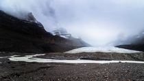 Athabasca Glacier Jasper NP  x  