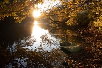 Autumn along Penns Creek in central Pennsylvania OC