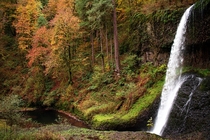 Autumn at Silver Falls State Park OR 