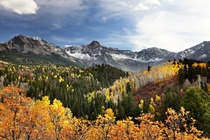 Autumn colors in Colorado 