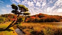 Autumn colours at Sankeien Garden in Tokyo Japan 