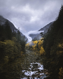 Autumn fog in the North Cascades  x