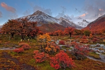 Autumn in Argentine Patagonia 