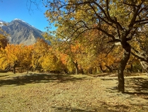 Autumn In Hunza Valley Pakistan 