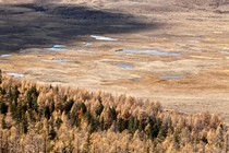 Autumn in Southern Siberia - Altai Republic Russia 