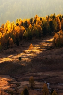 Autumn in the Dolomites Cinque Torri  IG konstantinkraemer