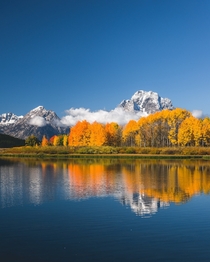 Autumn in the Grand Tetons 