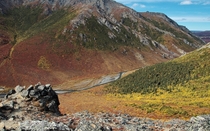 Autumn in the Savage River Valley  Denali National Park 