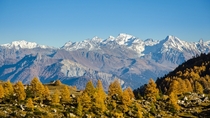 Autumn in the Swiss Alps - Larch trees near Lac de Salanfe - Evionnaz Switzerland 