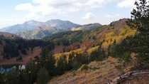 Autumn In The Wasatch 
