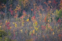 Autumn in Vermont 
