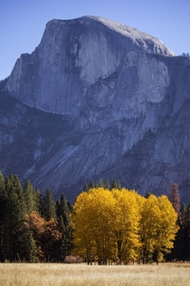 Autumn in Yosemite 