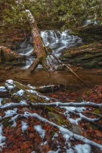 Autumn meets winter in the Smoky Mountains 