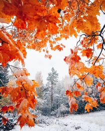 Autumn meets winter Kuopio Finland 