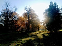 Autumn morning in the Friedenspark park of peace in Leipzig east germany 