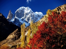 Autumn of Hunza Pakistan And Lady Finger Peak In Background 