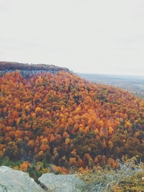 Autumn peak colors at Thacher Park NY    