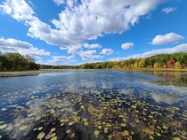 Autumn sky reflected in lake Michigan US 