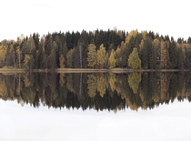 Autumn symmetry near Jessheim Norway 