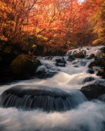 Autumn Waterfall in Nagano Japan 